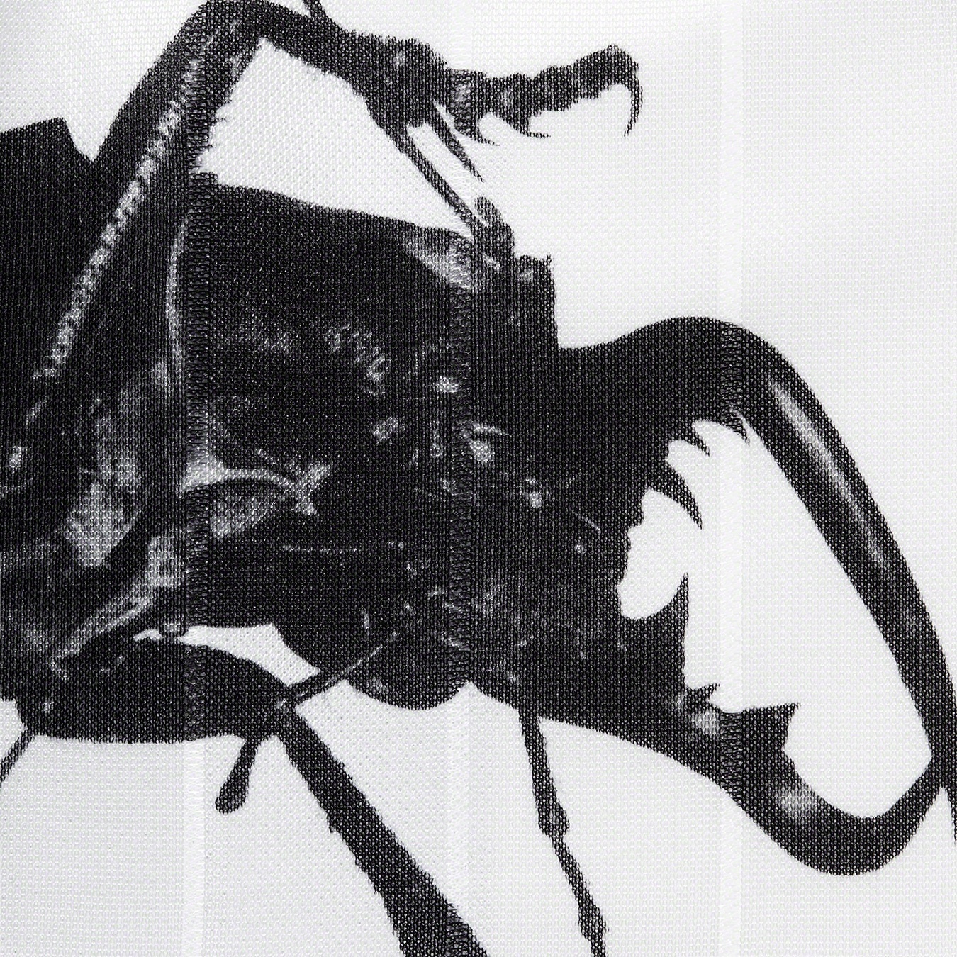 Beetle Short view 10